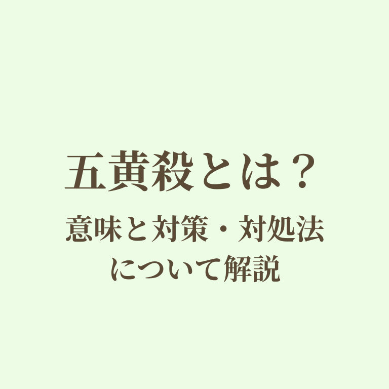 五黄殺についての解説の画像